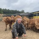 한우사육 이미지