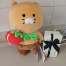 상록안전 | 부천 목련마을 상록아파트 입주청소 후기｜외창청소부터 페인트 자국 제거까지 꼼꼼하게 진행한 수다클린
