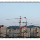 다산종합행정사사무소 이미지