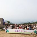 피크닉바람