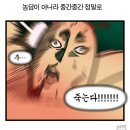 AKA 크로스핏 | 사우디 널스 준비기(번외)-크로스핏 분당(Crossfit Bundang) 후기