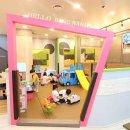 서초강남키즈