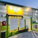 멍선생 애견카페 이미지