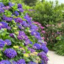 동광리-5 이미지