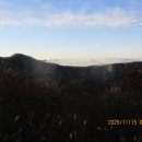 성수산목장 이미지