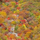 추령장승촌 이미지