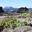 낭송의 즐거움 이미지