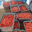 덕촌농장 이미지