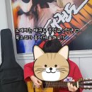 한국체대 태권스쿨 이미지