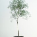바인나무병원 이미지