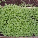 고요농장 이미지