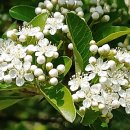 화원농장1 이미지