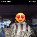 부산실내바다낚시터 이미지