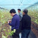 양강농장 이미지