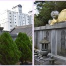 향림사소장본조상경 이미지