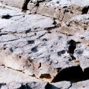 화석 2002 이미지