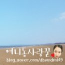 청포대 별주부 이미지