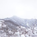 백련산(754m).칠백리고지(712m).모시울산(569.5m).나래산(543.8m) 종주 심설산행 /전북 임실 이미지