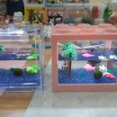 GS25전주효자점 이미지