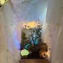 탕정면 삼성로 | [아산 탕정면] 구루미