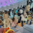 비치인형뽑기방 이미지