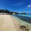 파라다이스 수영장 이미지