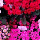 청천농장 이미지