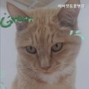 에버펫동물병원 - 송파구 오금로 422 | 에버펫동물병원