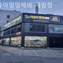 야옹아 멍멍해봐 계림점 이미지