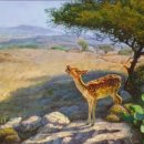 종일사슴 이미지