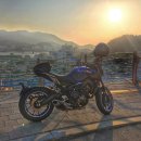 중앙동229 이미지