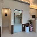 낭만고양이병원 이미지