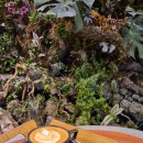 좋은아침 군포점 | 군포 베이커리 브런치 카페 추천 - 좋은아침 페스츄리 시그니처점 내돈내산 후기