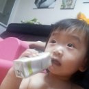 다은목장 이미지