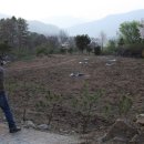 기역농장 이미지