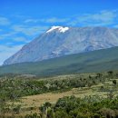 킬리만자로 이미지