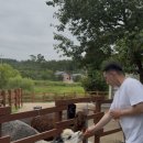 카페알파카