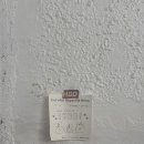 에브리데이 벌스데이 이미지