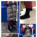 단디.제이 이미지