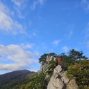 🍂능동산(해발983m)쇠점골을 다녀오다.🍂 이미지