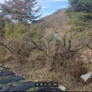 포항시남구56 이미지