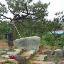 꼼지의 작은세상 이미지