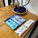 하늘땅펜션 | 제주 "하늘만큼땅만큼" 펜션 후기