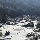 차없는거리 문화로 채우다(2차) | 나고야 여행 2일차 (시라카와고, 다카야마 버스투어)