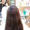태라헤어 이미지