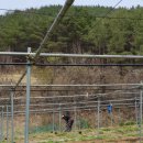 한실농장 이미지