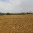 영락리 마을회관 이미지