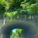 수곡로67번길(2-161) | 44_JULY