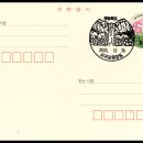 서귀동-43 티스토리