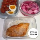 치치독 | 「7월 첫째 주 일상 모음집 🌿 (6/29~7/5)」